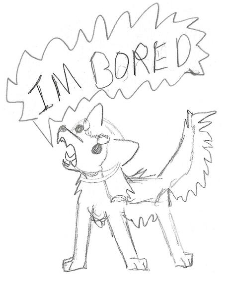 The bored husky (filler)